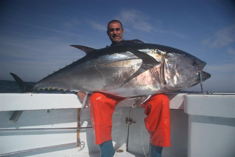 Cape Hatteras Bluefin Tuna Report 3/11