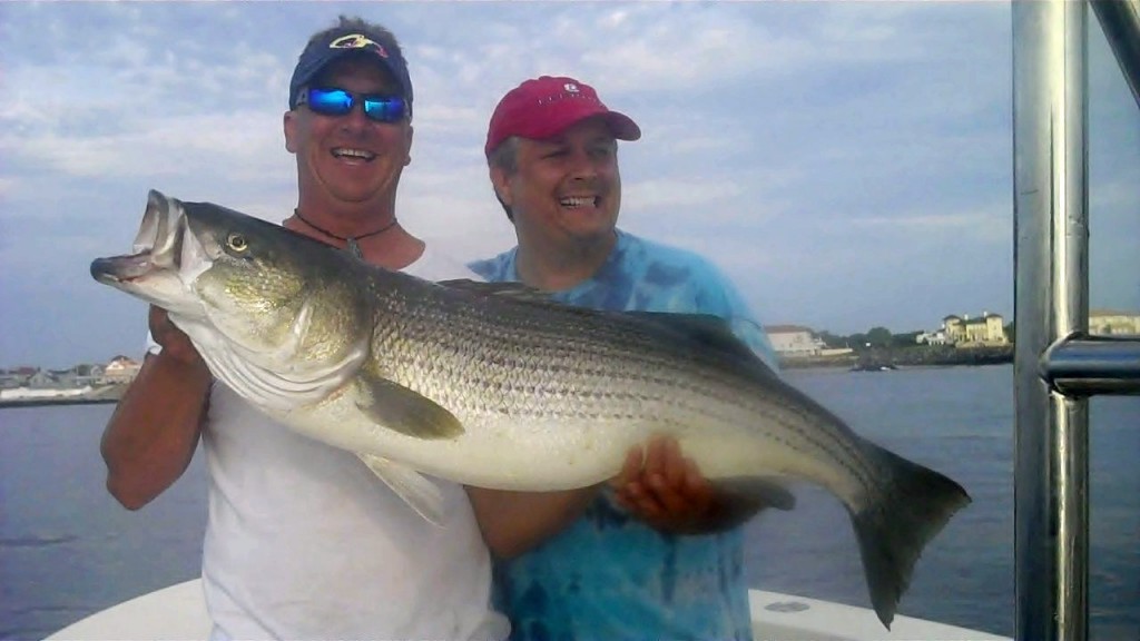 6-20bass
