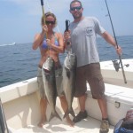june18bluefish 002 (Medium)