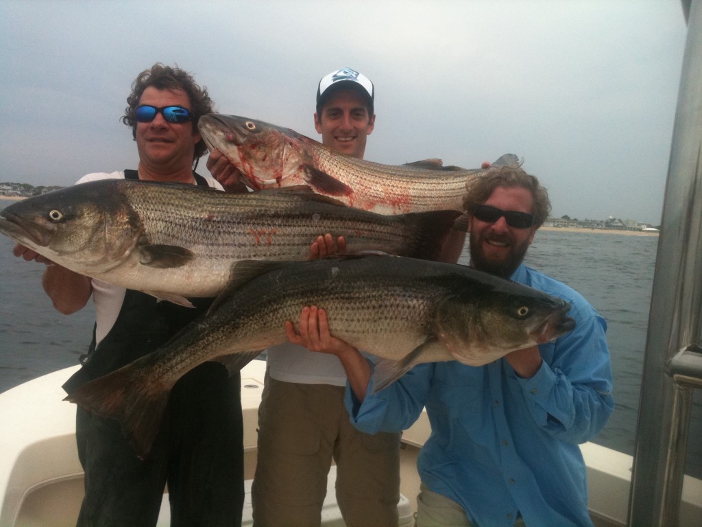 june21basss 012