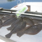 june27flukes 006