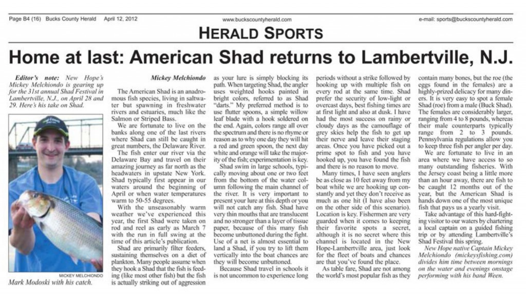 shadarticle