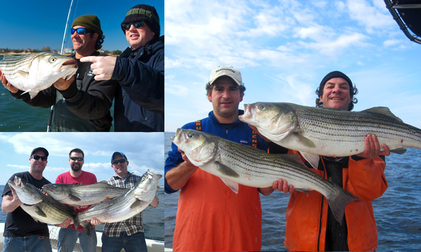 Fall Striped Bass fishing